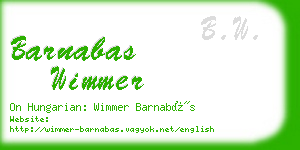 barnabas wimmer business card